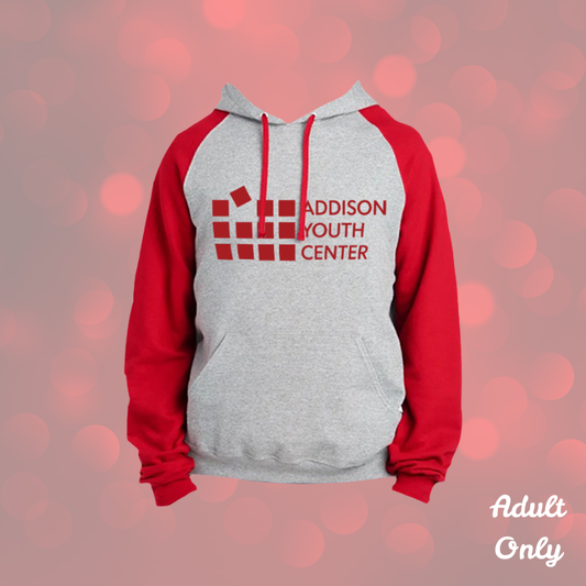 Addison Youth Center Adult Hoodie