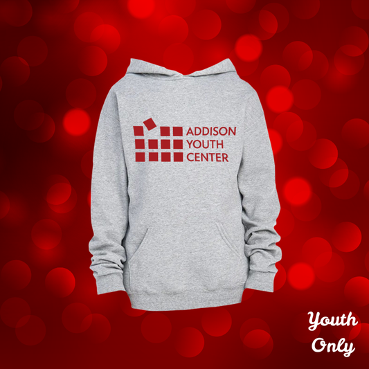 Addison Youth Center Youth Hoodie