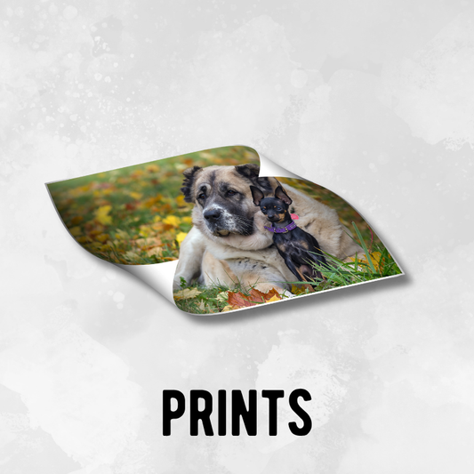 Prints
